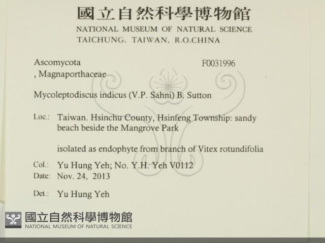 登錄號:F0031996藏品圖，第2張