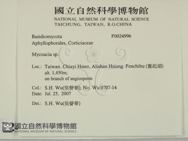 登錄號:F0024996藏品圖，第2張