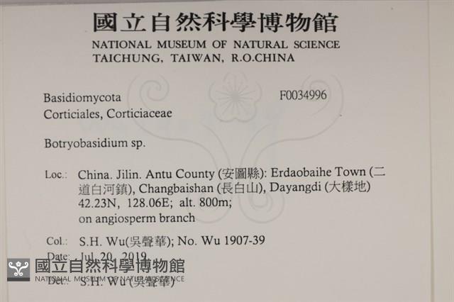 登錄號:F0034996藏品圖，第2張