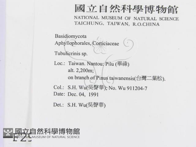 登錄號:F0002996藏品圖，第2張