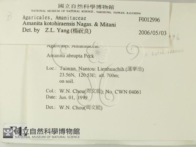 登錄號:F0012996藏品圖，第2張