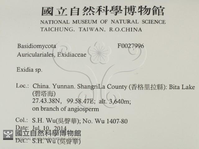 登錄號:F0027996藏品圖，第2張