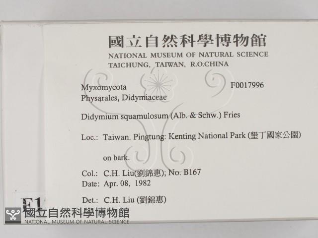 登錄號:F0017996藏品圖，第2張
