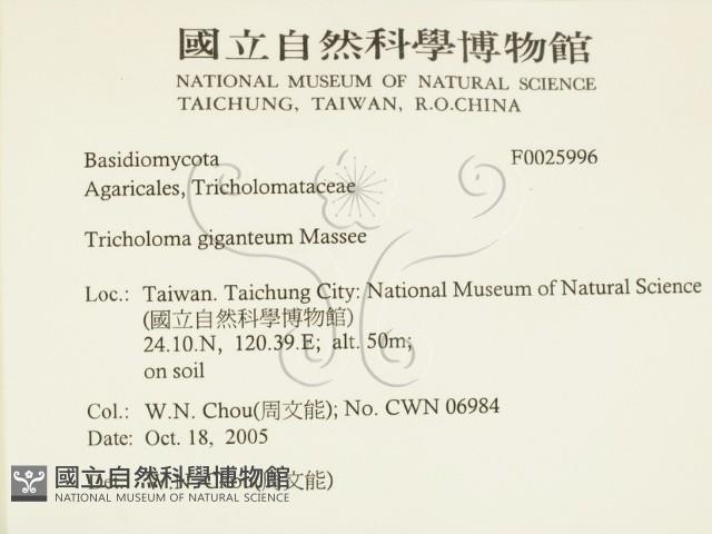 登錄號:F0025996藏品圖，第2張