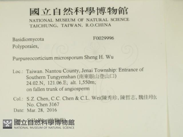 登錄號:F0029996藏品圖，第2張