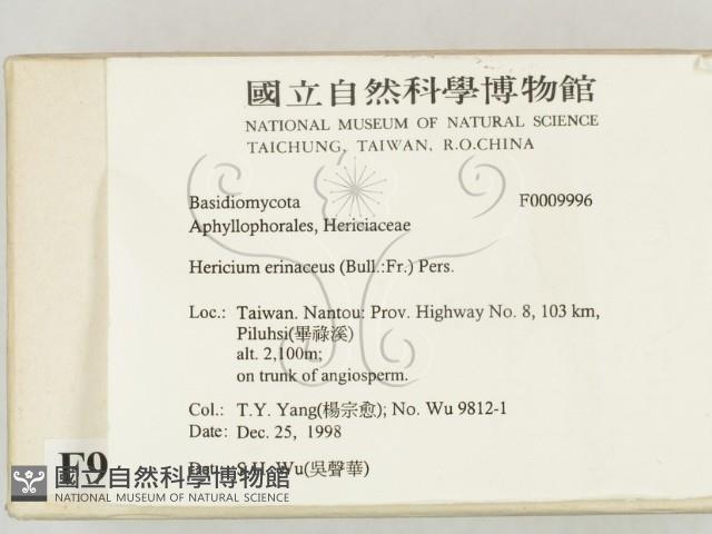 登錄號:F0009996藏品圖，第2張
