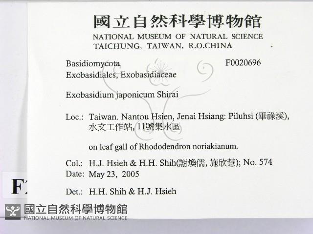 登錄號:F0020696藏品圖，第2張