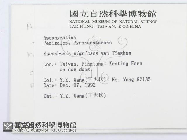 登錄號:F0000696藏品圖，第2張