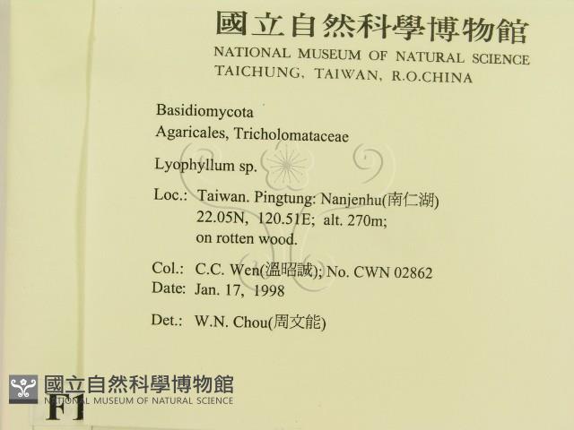 登錄號:F0010696藏品圖，第2張