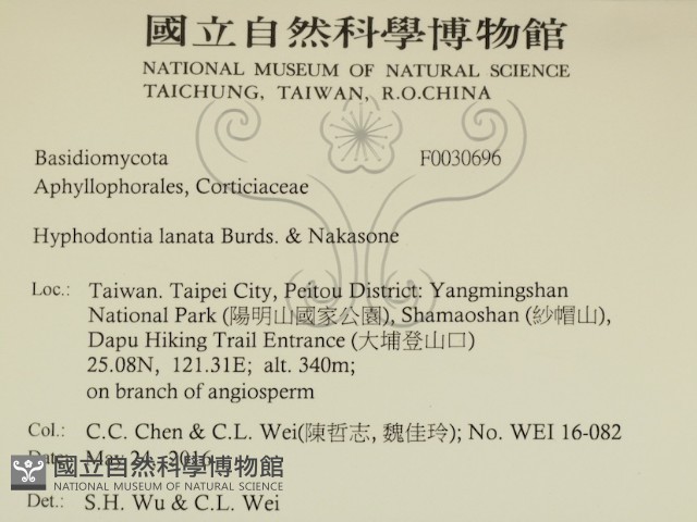 登錄號:F0030696藏品圖，第2張
