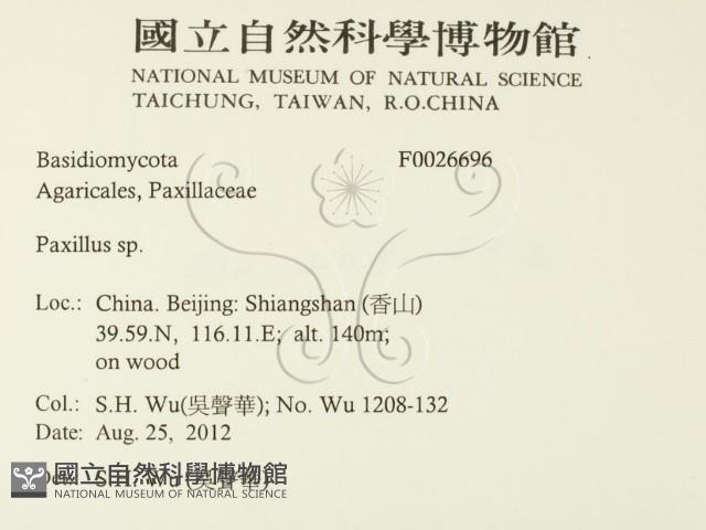 登錄號:F0026696藏品圖，第2張