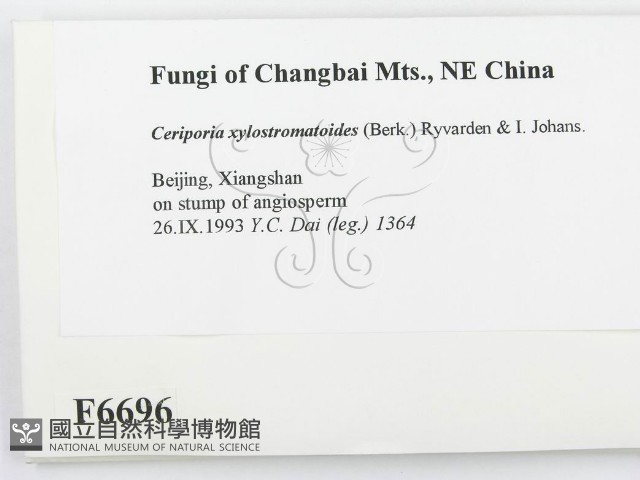 登錄號:F0006696藏品圖，第2張