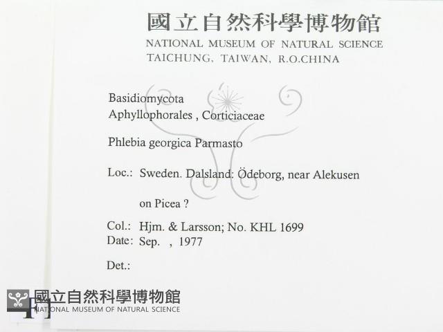 登錄號:F0016696藏品圖，第2張