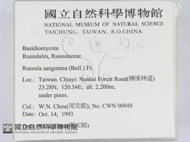 登錄號:F0001696藏品圖，第2張