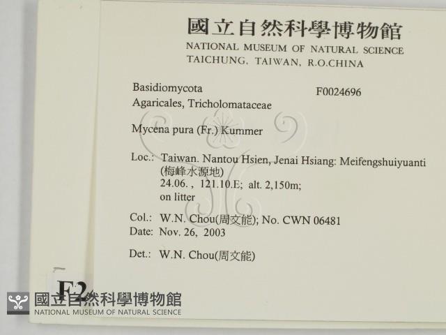 登錄號:F0024696藏品圖，第2張