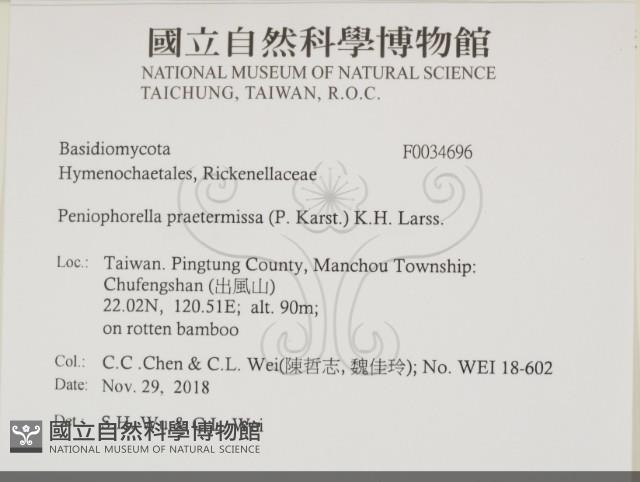 登錄號:F0034696藏品圖，第2張