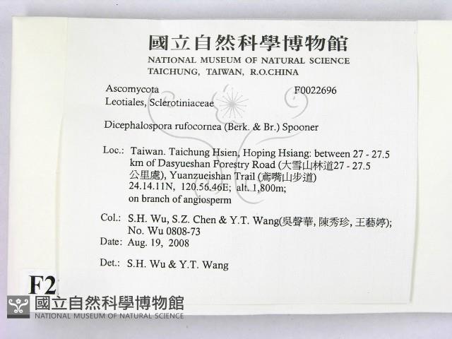 登錄號:F0022696藏品圖，第2張