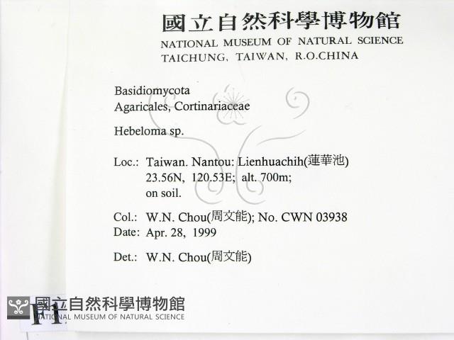 登錄號:F0012696藏品圖，第2張