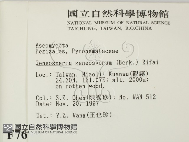 登錄號:F0007696藏品圖，第2張