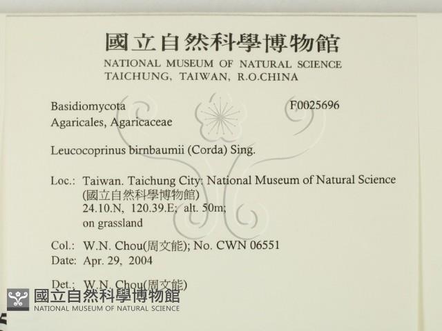 登錄號:F0025696藏品圖，第2張