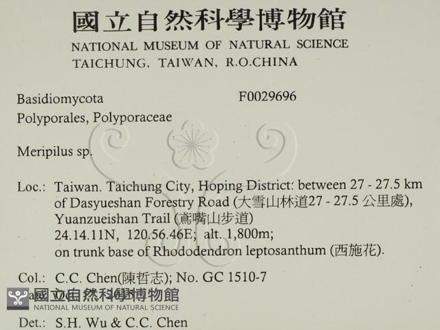 登錄號:F0029696藏品圖，第2張