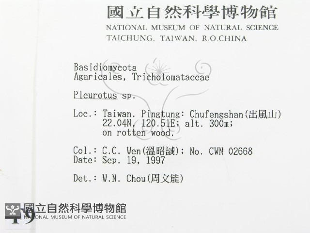 側耳屬藏品圖，第2張