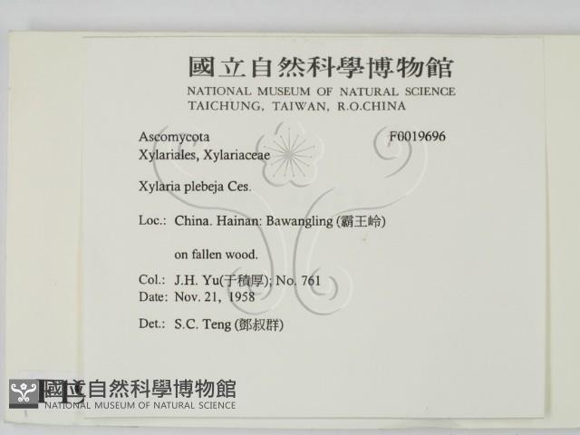 登錄號:F0019696藏品圖，第2張