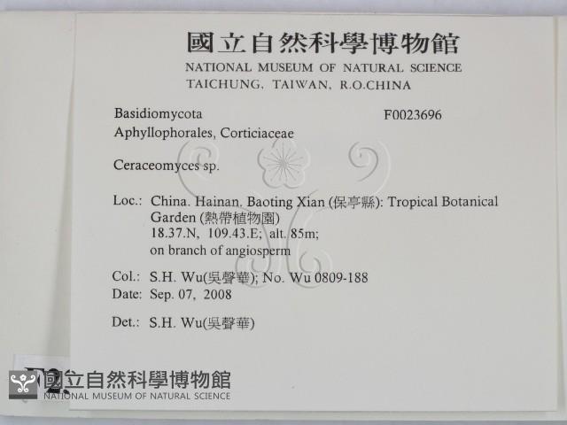 登錄號:F0023696藏品圖，第2張