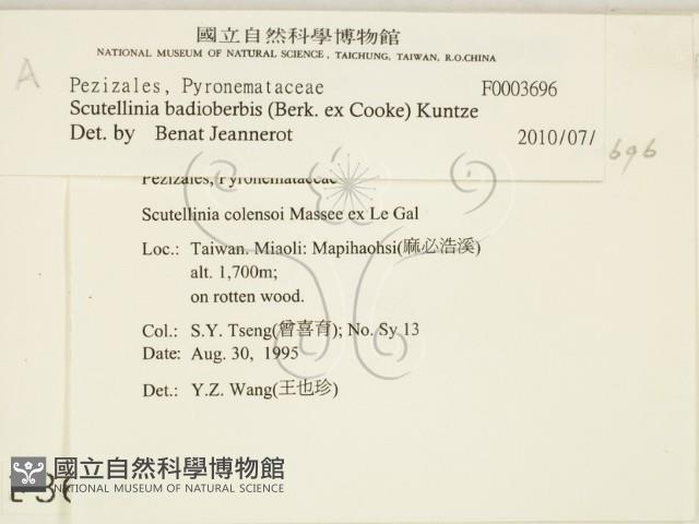 登錄號:F0003696藏品圖，第2張