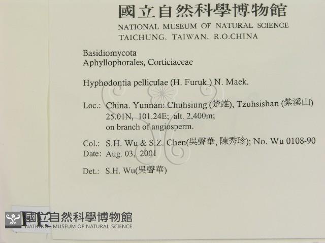 登錄號:F0013696藏品圖，第2張