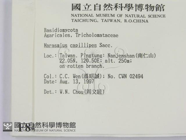 登錄號:F0008496藏品圖，第2張