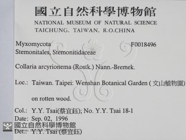 登錄號:F0018496藏品圖，第2張