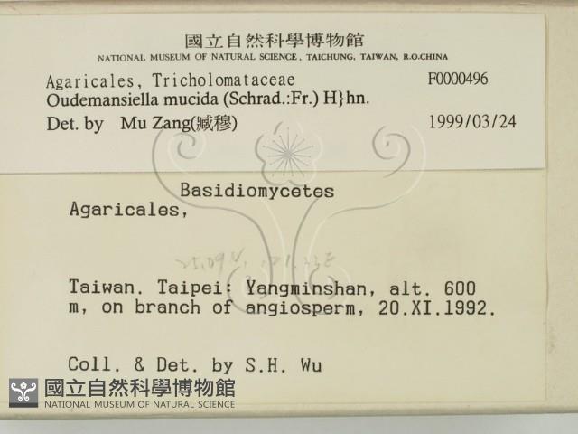 登錄號:F0000496藏品圖，第2張