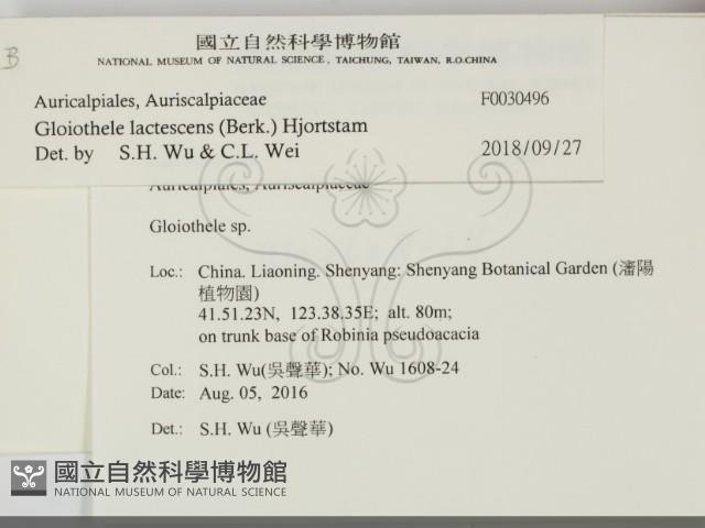 登錄號:F0030496藏品圖，第2張