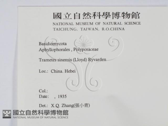 登錄號:F0016496藏品圖，第2張