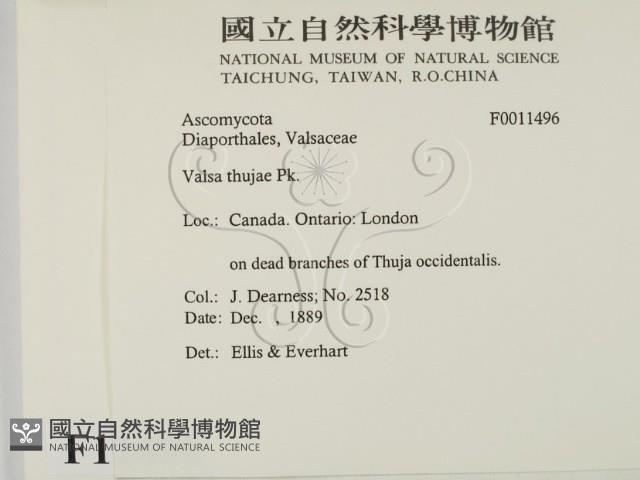 登錄號:F0011496藏品圖，第2張