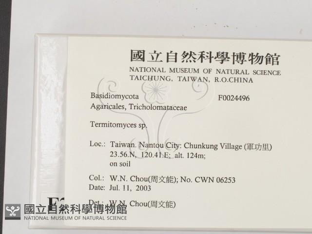 登錄號:F0024496藏品圖，第2張