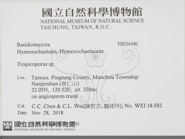 登錄號:F0034496藏品圖，第2張