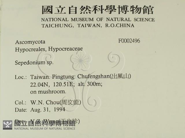 登錄號:F0002496藏品圖，第2張