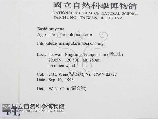 登錄號:F0012496藏品圖，第2張
