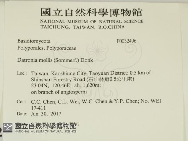 登錄號:F0032496藏品圖，第2張