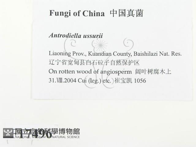 登錄號:F0017496藏品圖，第2張