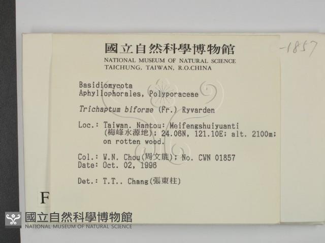 登錄號:F0005496藏品圖，第2張