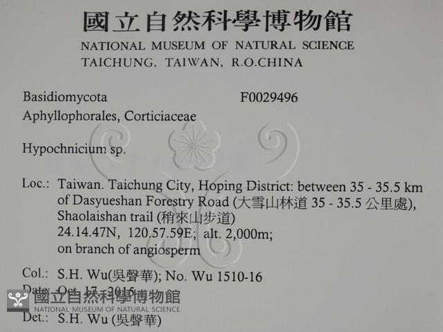 登錄號:F0029496藏品圖，第2張