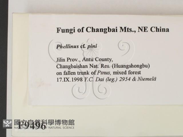 登錄號:F0009496藏品圖，第2張
