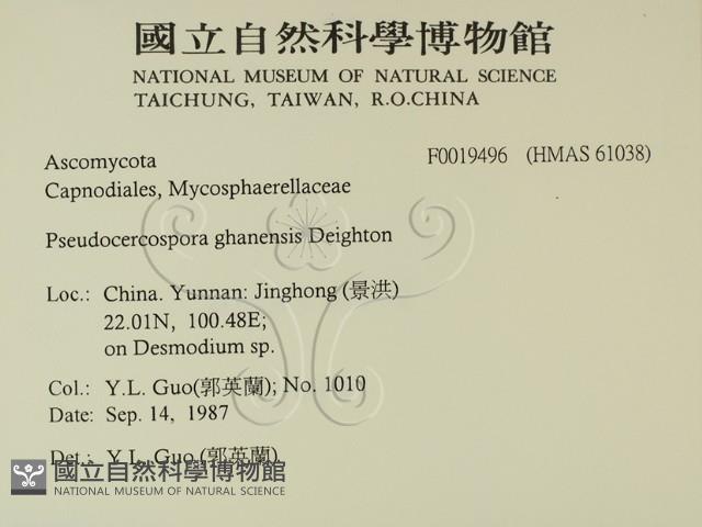 登錄號:F0019496藏品圖，第2張