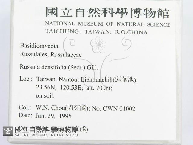 登錄號:F0003496藏品圖，第2張