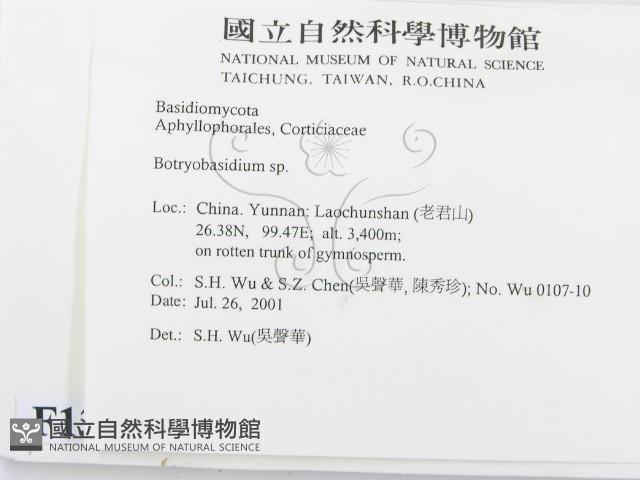 登錄號:F0013496藏品圖，第2張