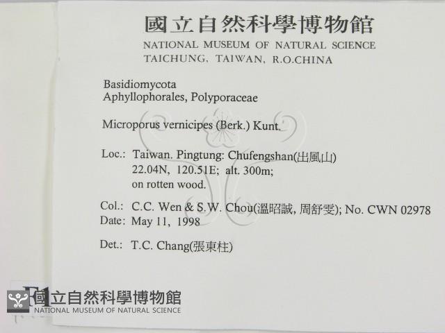 登錄號:F0010796藏品圖，第2張