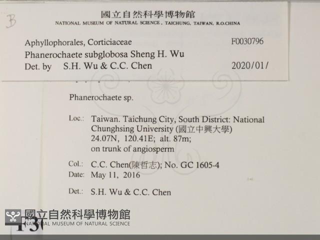 登錄號:F0030796藏品圖，第1張